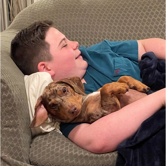 Hi, I’m Lori. Join me for live sales and fun shows with great prices! - Picture 11 of 16